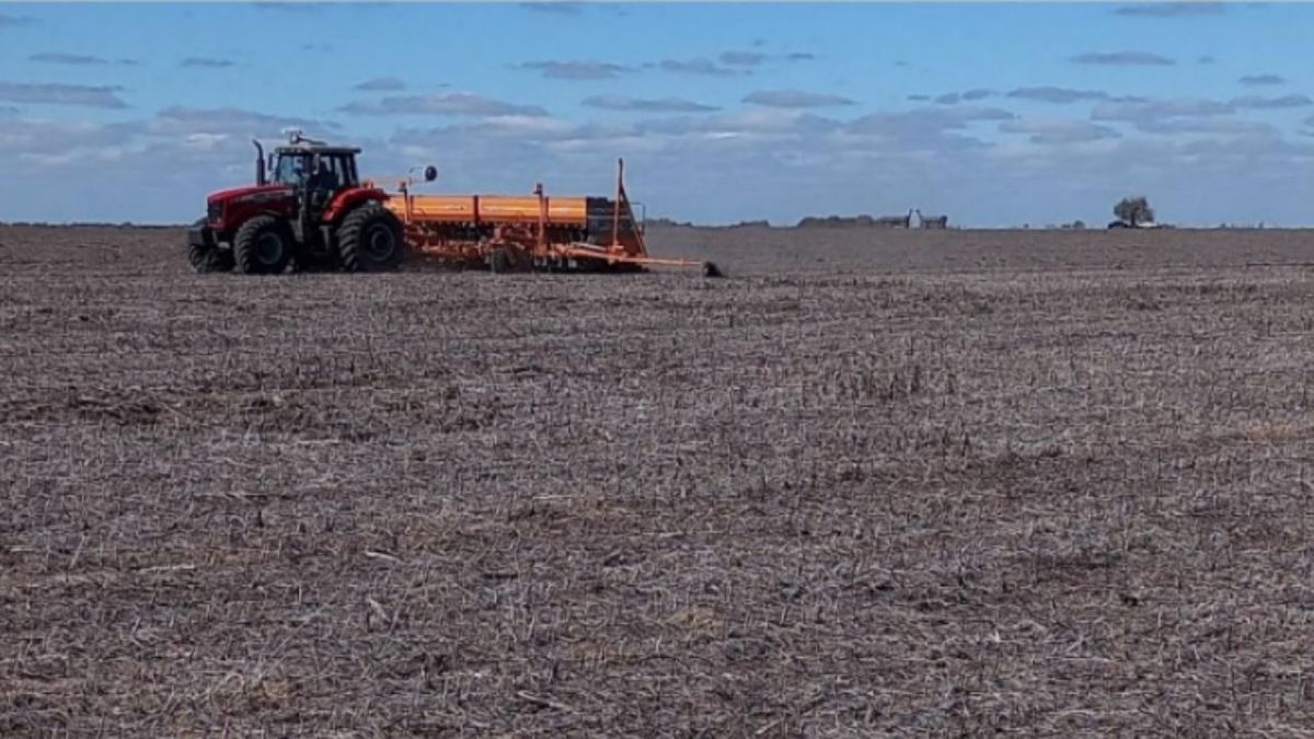 Actividad económica en baja: solo agro y recaudación crecieron en Rosario