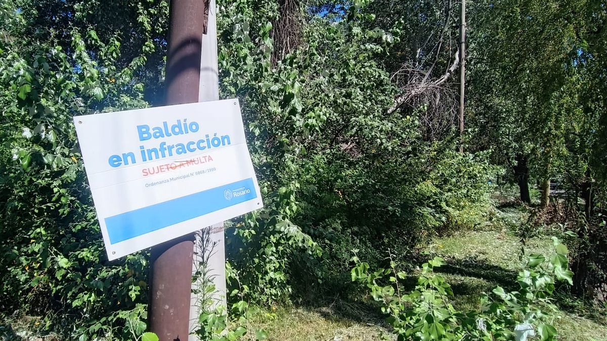 Rosario: proyecto para premiar baldíos mantenidos y multar abandono
