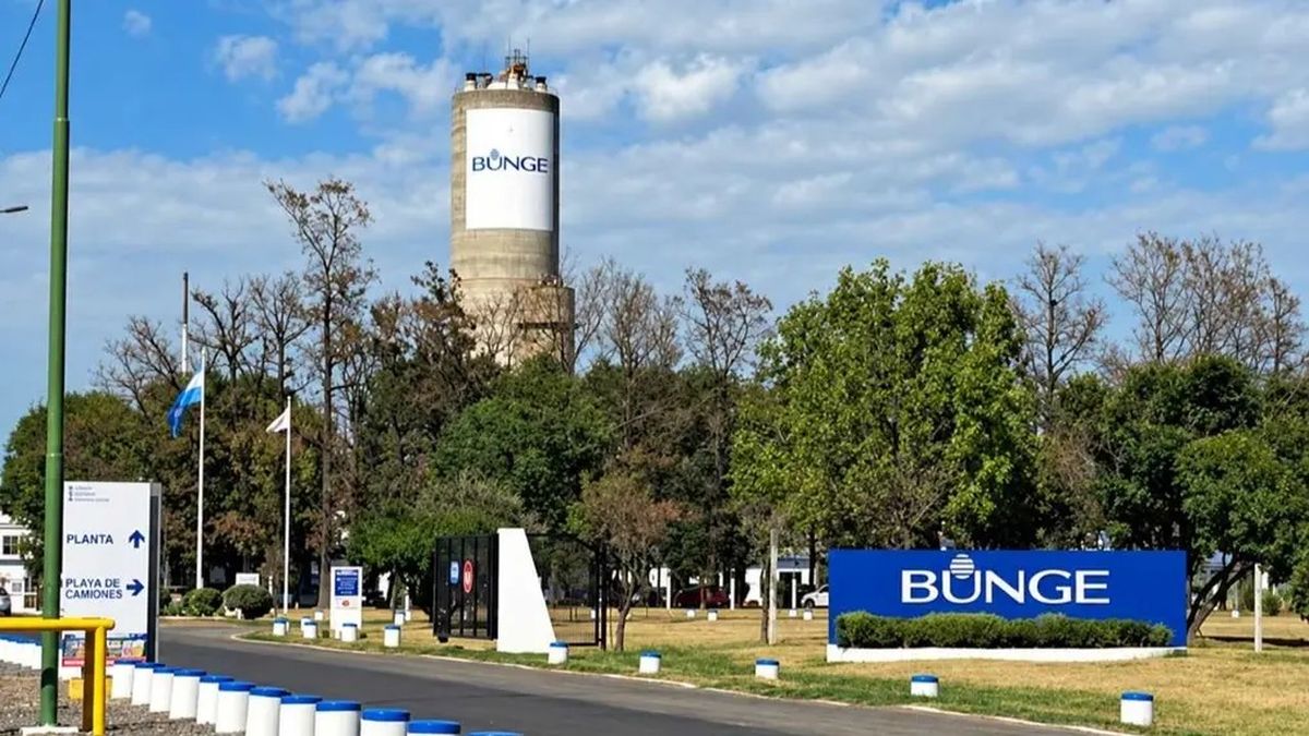 Bunge anunció cierre de planta de fertilizantes en Campana: 200 empleos peligran