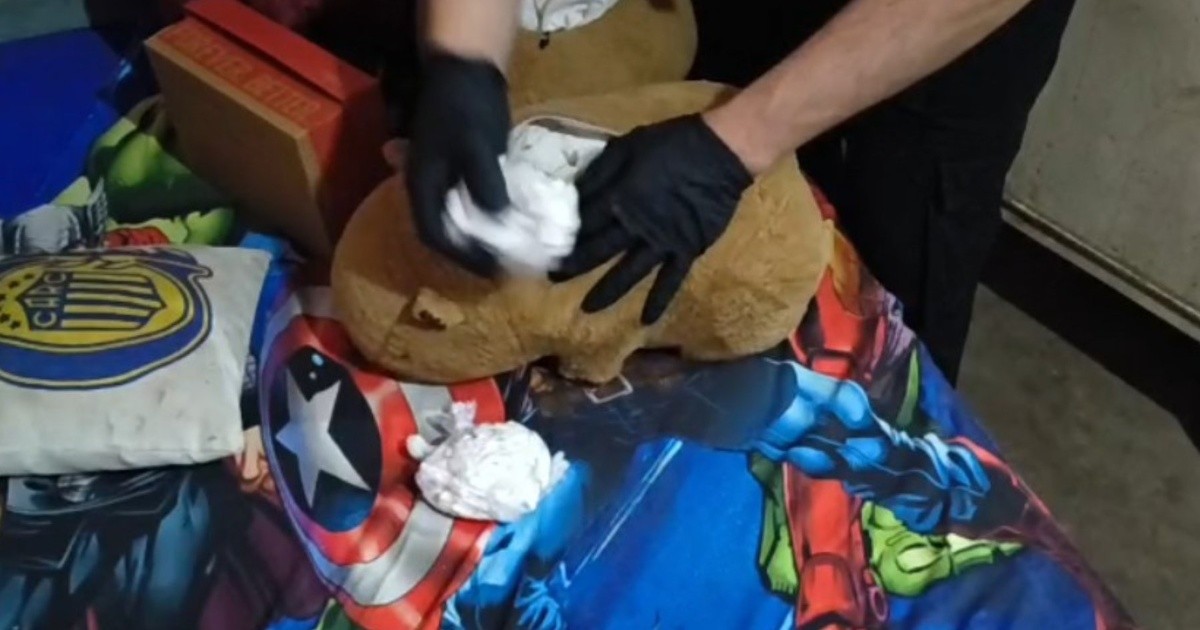 Droga oculta en un peluche de carpincho: seis detenidos en una redada en barrio Alvear, Rosario