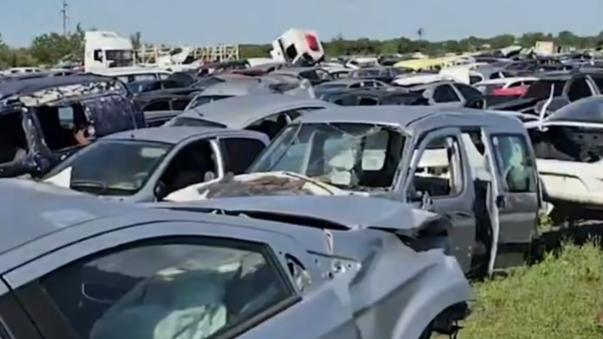 Clausuraron desarmadero en Pujato, Santa Fe: más de 200 vehículos de desguace
