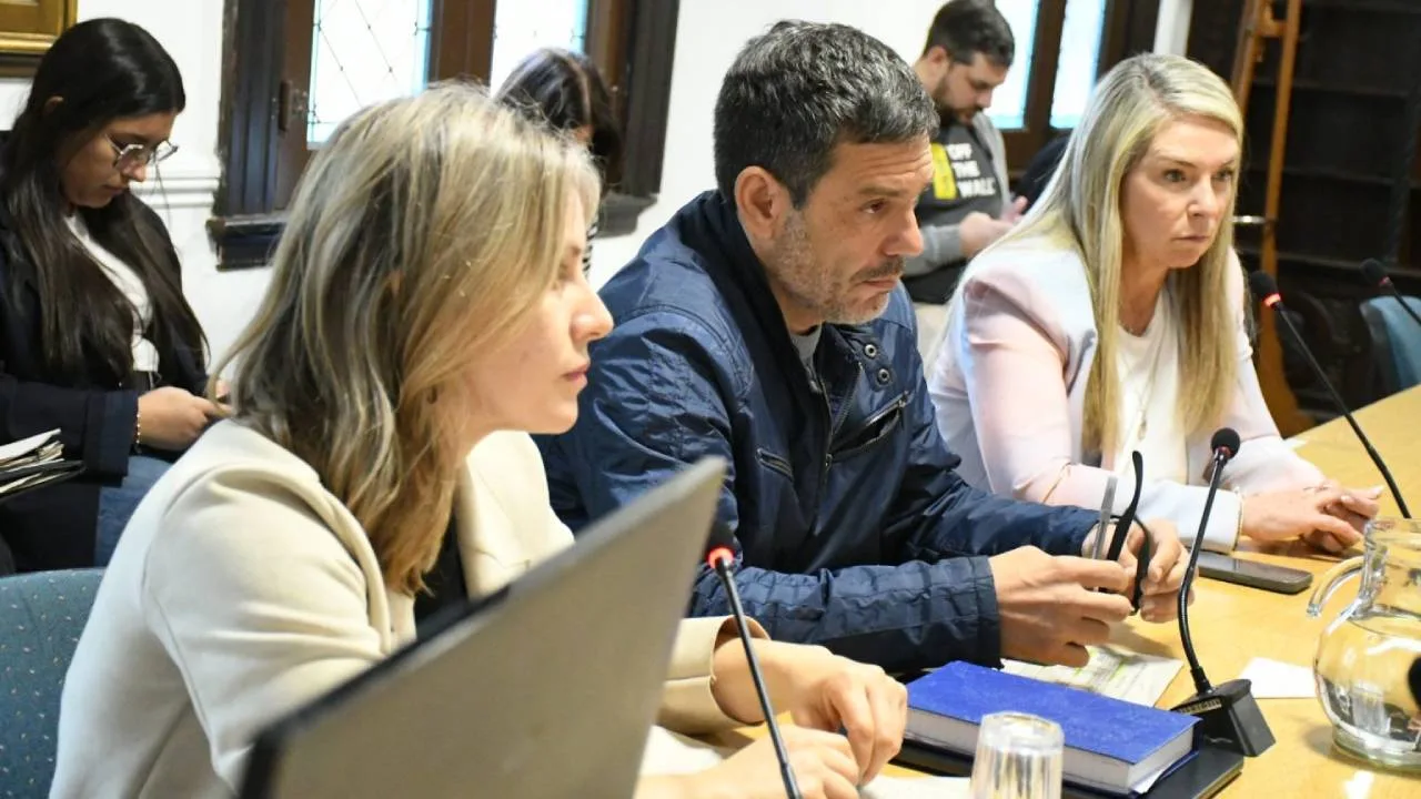Rosario: el Concejo analiza regularizar Uber y DiDi con nueva ordenanza