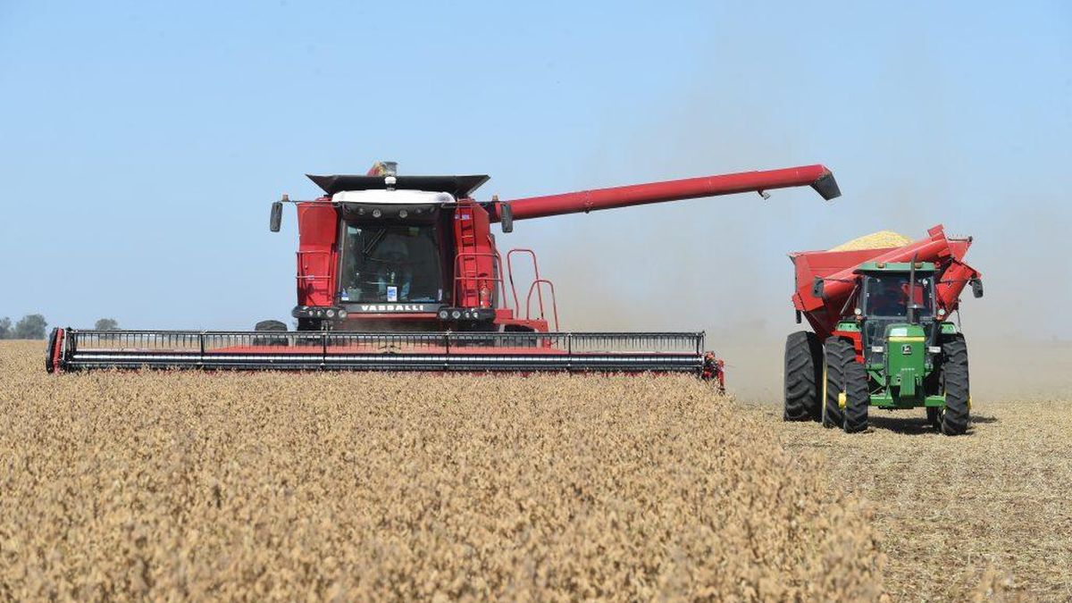 Cosecha 2026/27: exportaciones agrícolas llegarían a u$s 42.000 millones