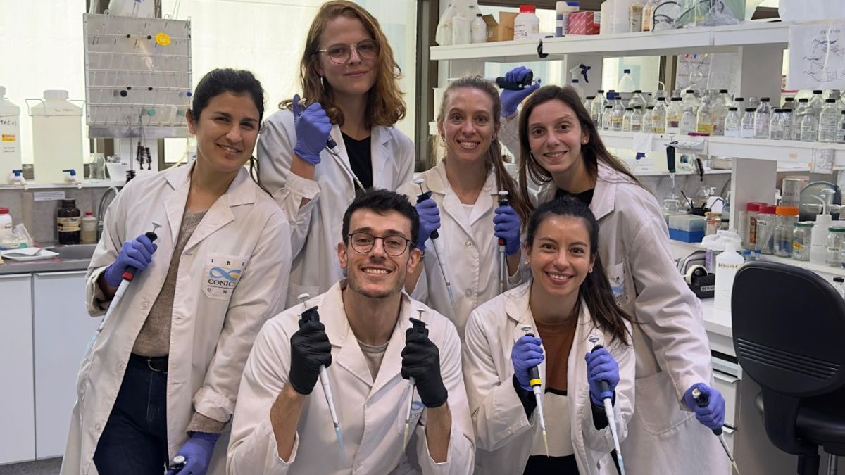 De la UNR a la élite mundial: premian a un joven investigador rosarino en biomedicina