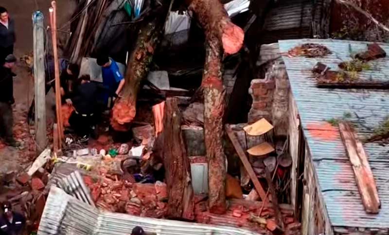 Rosario: eucalipto cayó sobre vivienda en Villa Banana y familia quedó atrapada