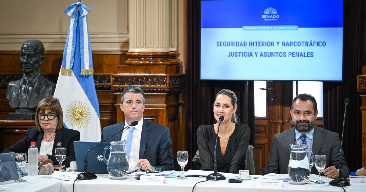 Senado avanza con la regularización de armas: el dato que preocupa en Rosario