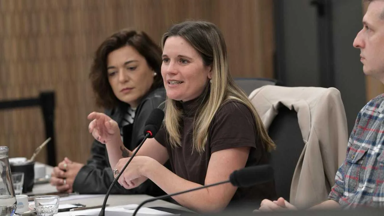 Crisis de discapacidad: 100 organizaciones piden juicio político al ministro