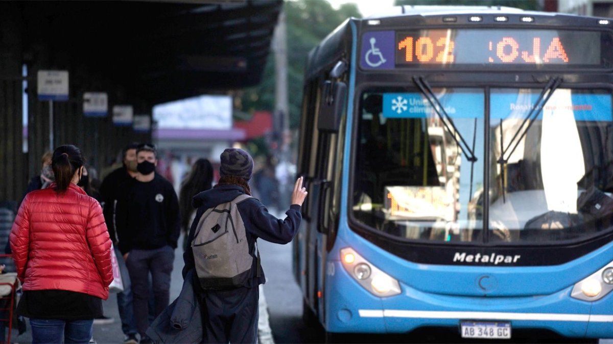 Rosario: liberaron al colectivero que mató a un hombre en situación de calle