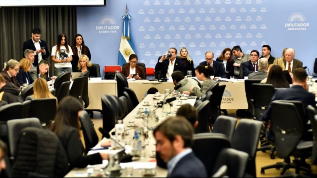 Torrendell defendió el presupuesto universitario en Diputados
