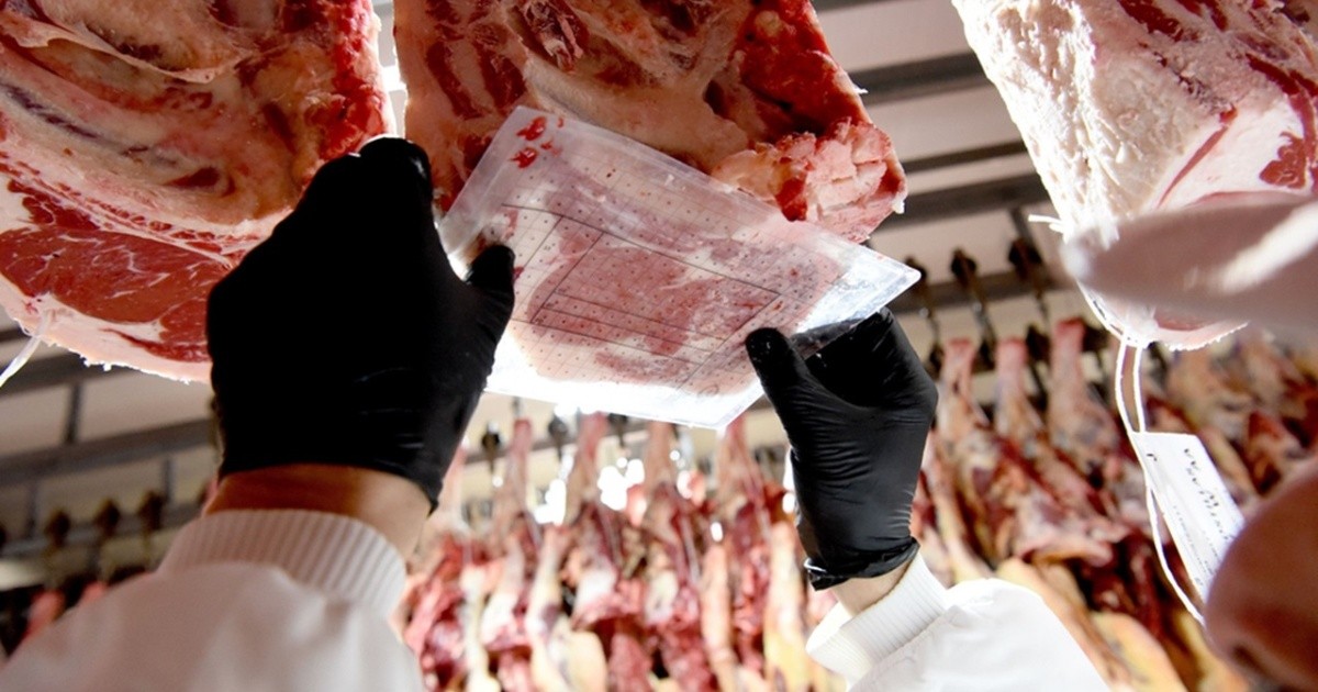 Exportaciones de carne vacuna argentina crecen 41,8% en valor en 2026