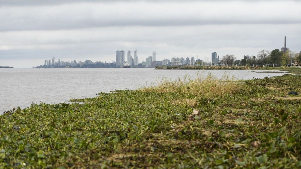 El Niño: onda de crecida en Santa Fe y riesgo hídrico aguas abajo