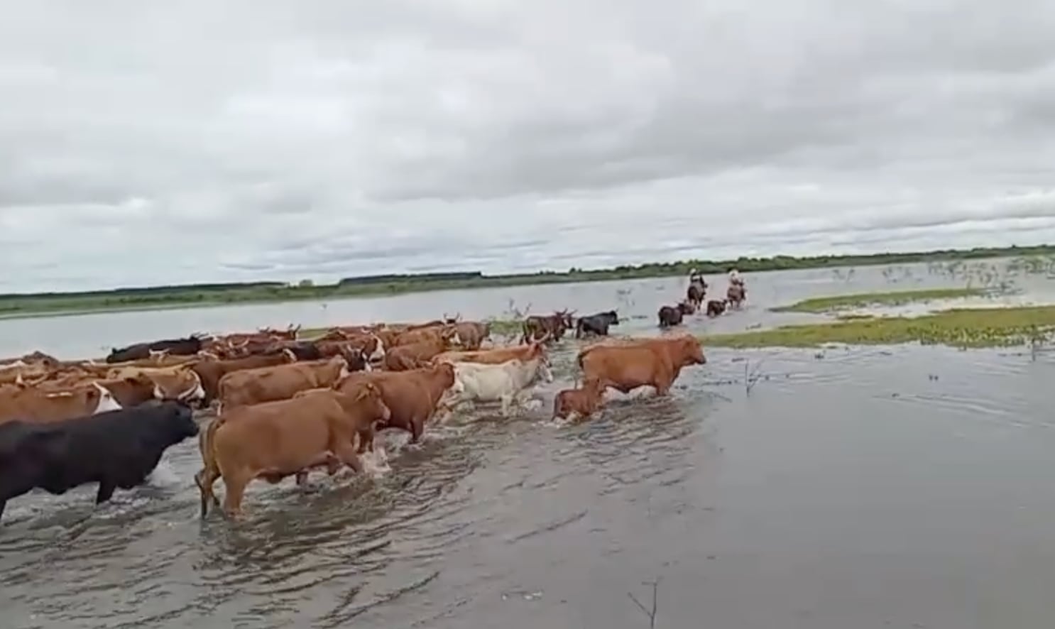 El Niño 2026: Santa Fe y Rosario, entre lluvias irregulares e inundación