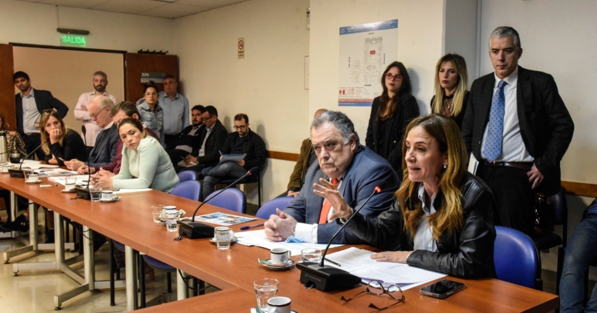 Diputados: el oficialismo convocó comisión para frenar sesión especial sobre Emergencia en Discapacidad