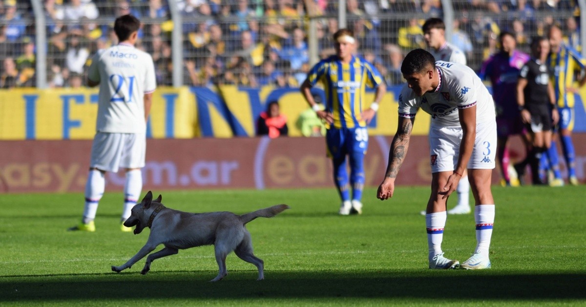 Un perro se robó el show en el Gigante de Arroyito y paralizó Central-Tigre
