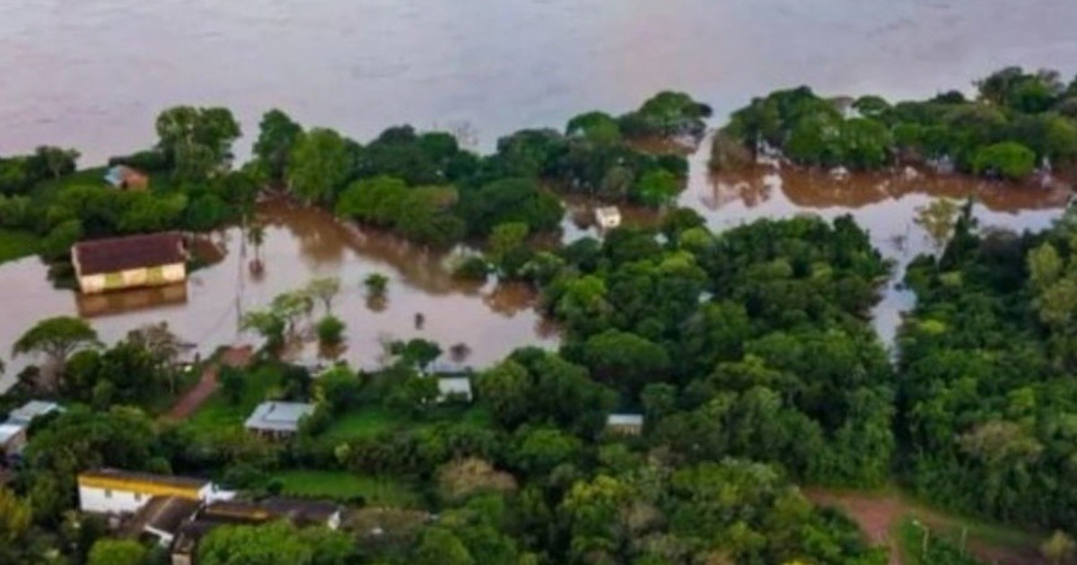 Crecida del río Uruguay: productores trasladan animales y alertan por Santa Fe