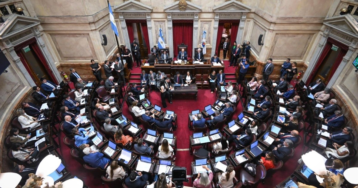 Senado debate hoy reforma de Salud Mental: vuelven las internaciones forzosas