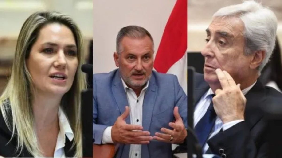 Tierras para extranjeros sin límites: cómo votarán los senadores de Santa Fe