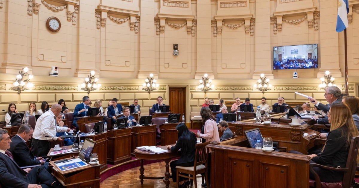 Santa Fe: el Senado dio media sanción a la ley contra la violencia de género