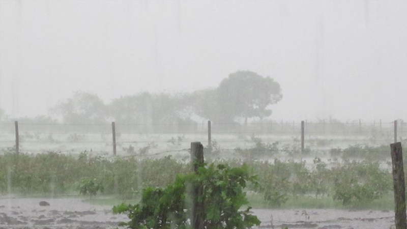 Super Niño en Argentina: lluvias hasta 80% mayores y riesgo de inundaciones en Santa Fe