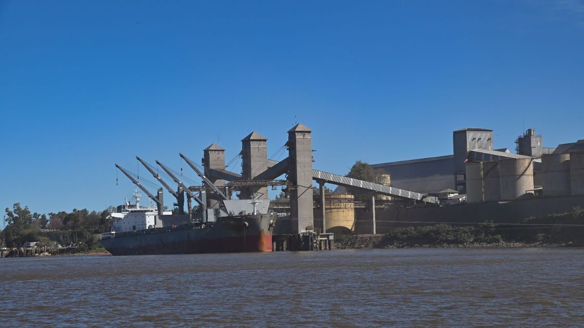 Superávit comercial de u$s 2.194 millones: exportaciones crecieron 24,5% en junio