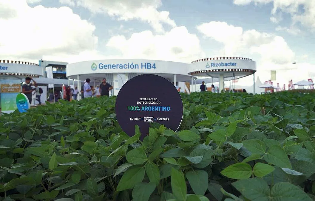 Europa rechaza harina de soja argentina por rastros de transgénico HB4 de Bioceres