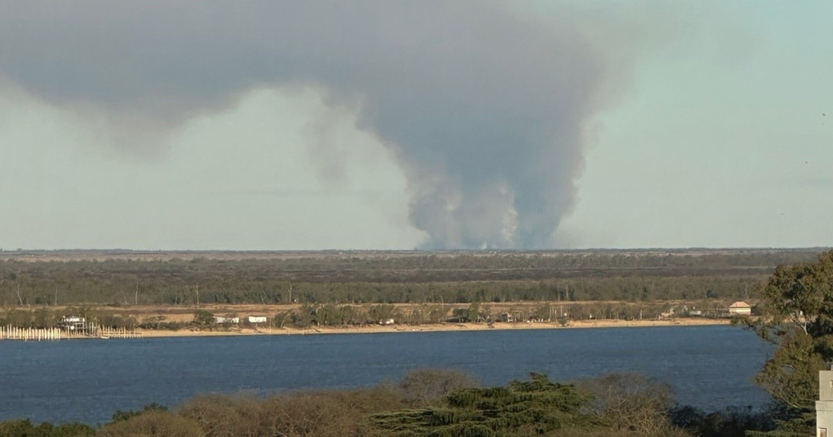 Incendios en las islas: más de mil hectáreas quemadas y El Niño como esperanza