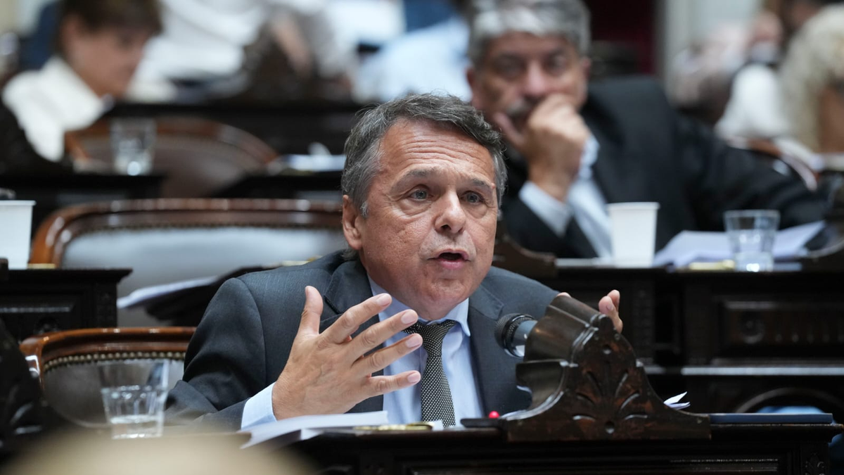 Giuliano: el fallo de la Corte sobre la ley de tierras es un freno provisorio