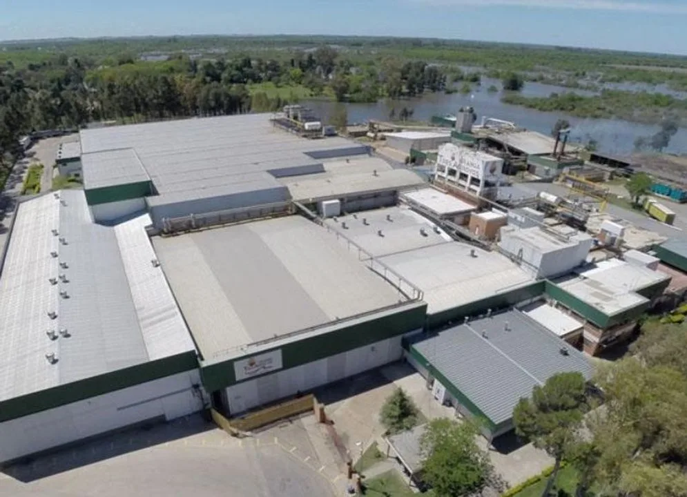 Granja Tres Arroyos despidió a 260 empleados por la gripe aviar en Entre Ríos