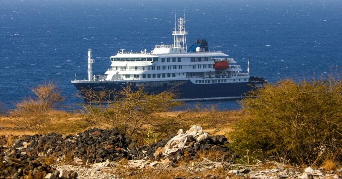 Confirman cepa Andes en crucero desde Argentina: la única transmisible entre humanos
