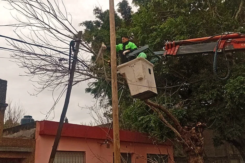 Tormenta en Rosario: ráfagas de 75 km/h, 50 mm de lluvia y 86 reclamos