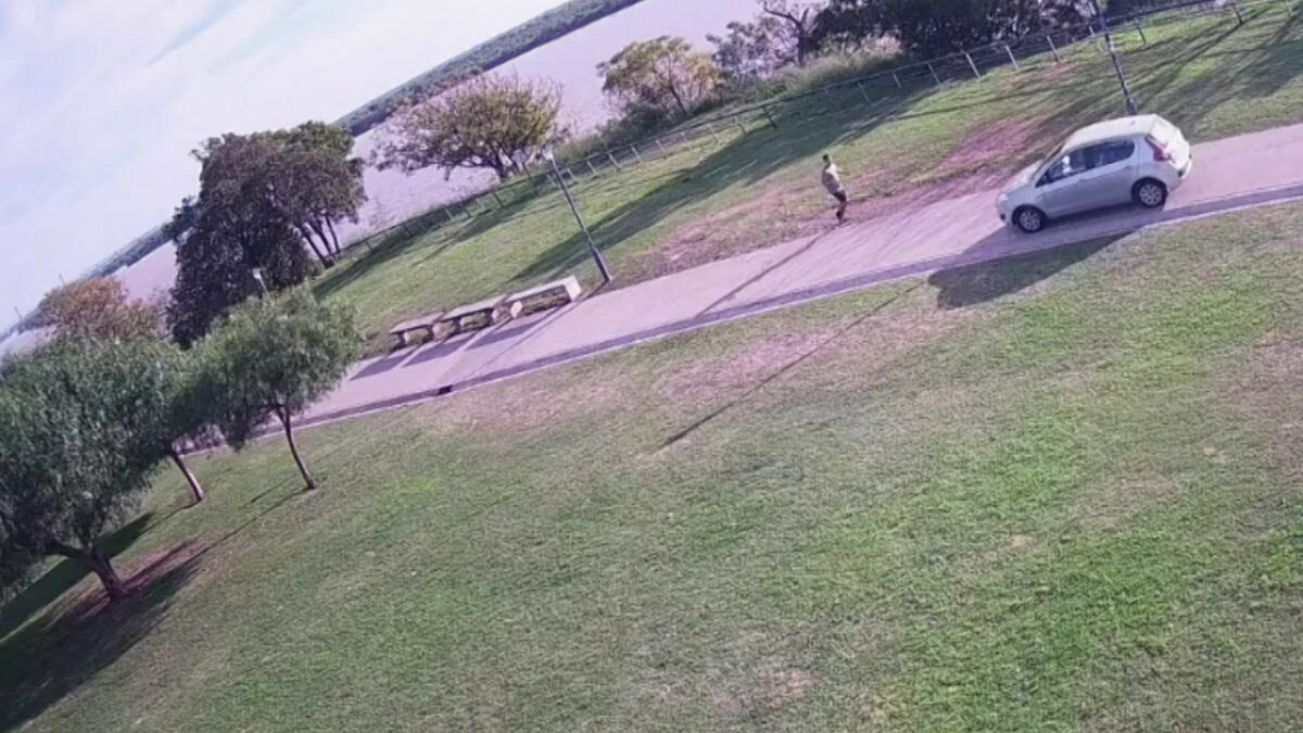 Rosario: identifican al conductor que manejó por el parque de las Colectividades