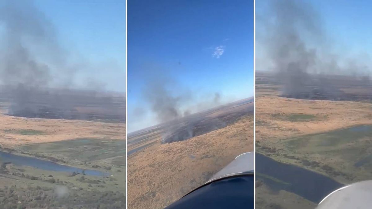 Incendios en las islas del Paraná: más de 1.700 hectáreas quemadas en Santa Fe