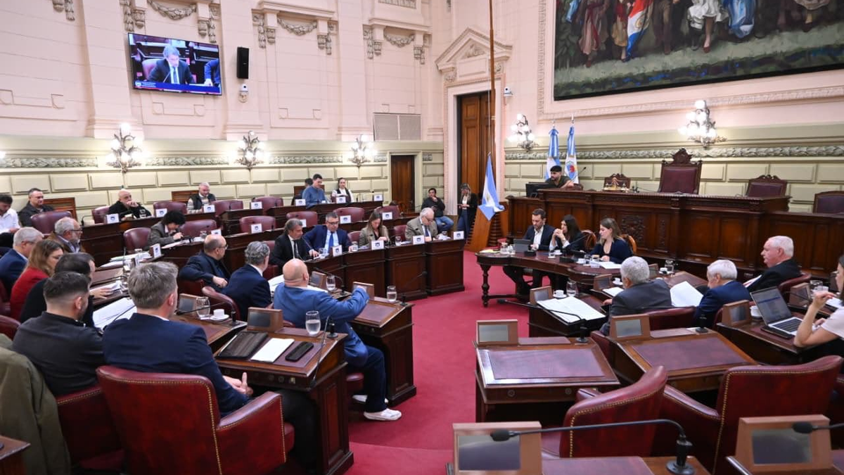 Reforma de seguridad en Santa Fe: la Corte y el MPA en Diputados