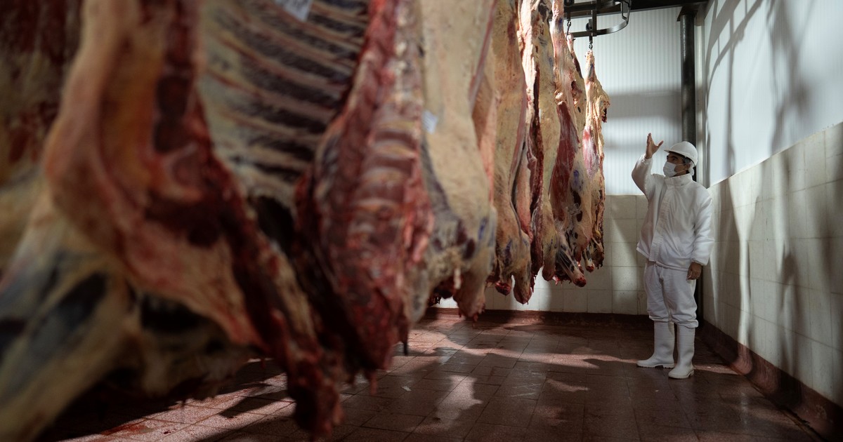 Faena bovina cayó 8,9% en el semestre pero junio dio señales de rebote