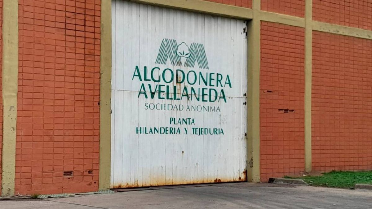Nueva Vicentin invierte USD 300 mil para reactivar plantas de algodón