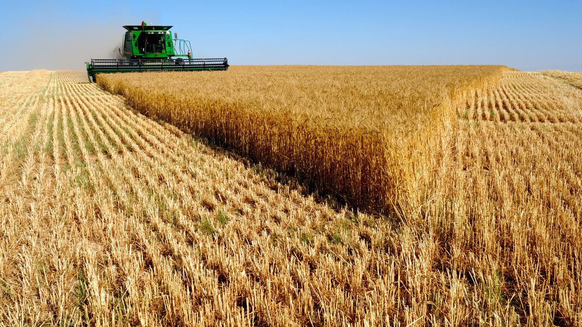 Productores de Santa Fe: la confianza agrícola cayó 16% por el alza de costos
