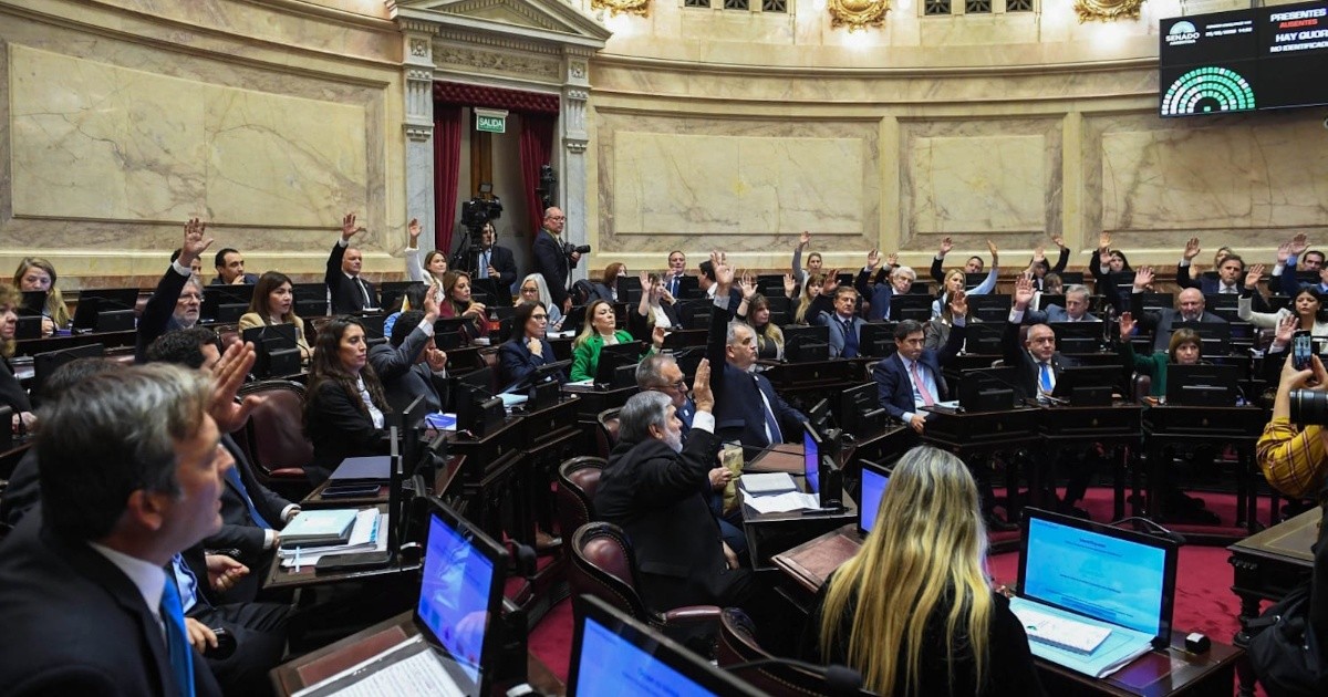 Senado debate Ley de Propiedad Privada sin tierras y hay marcha en Rosario