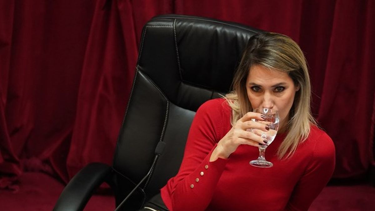 Losada reavivó la alianza con La Libertad Avanza y desafió al socialismo en Santa Fe