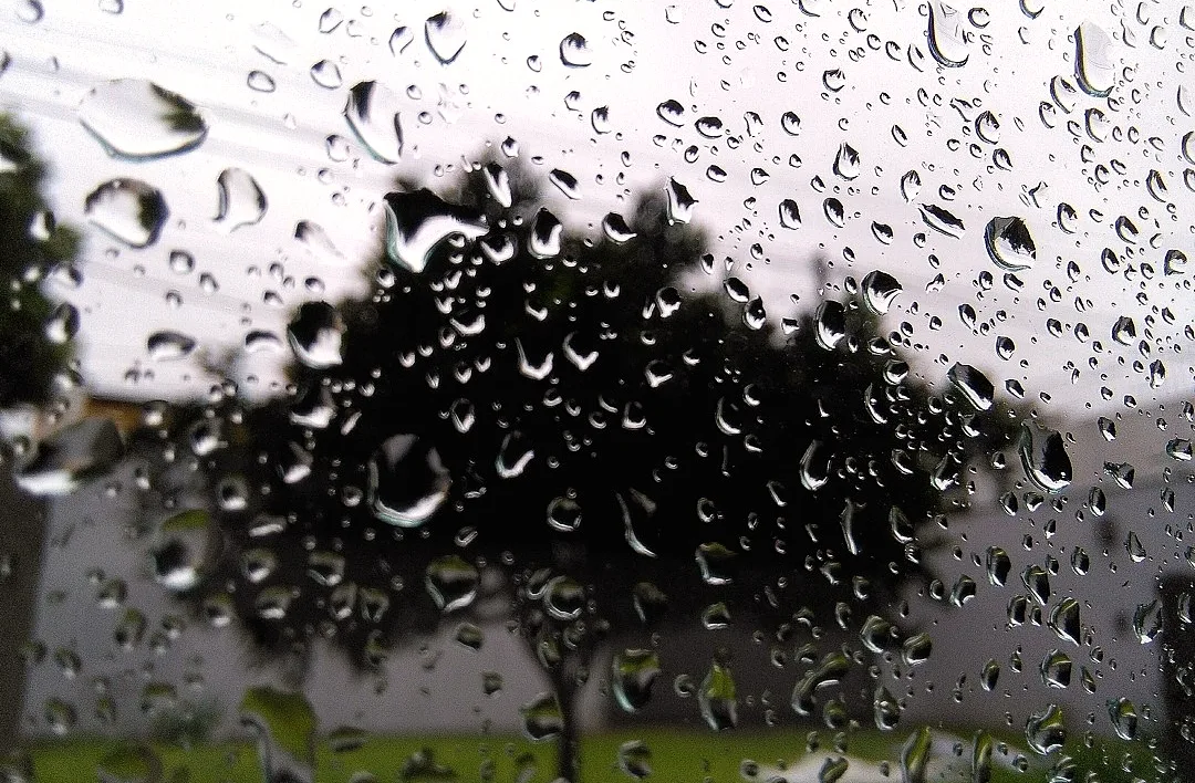 Clima en Rosario: lloviznas y vientos fuertes marcan el martes