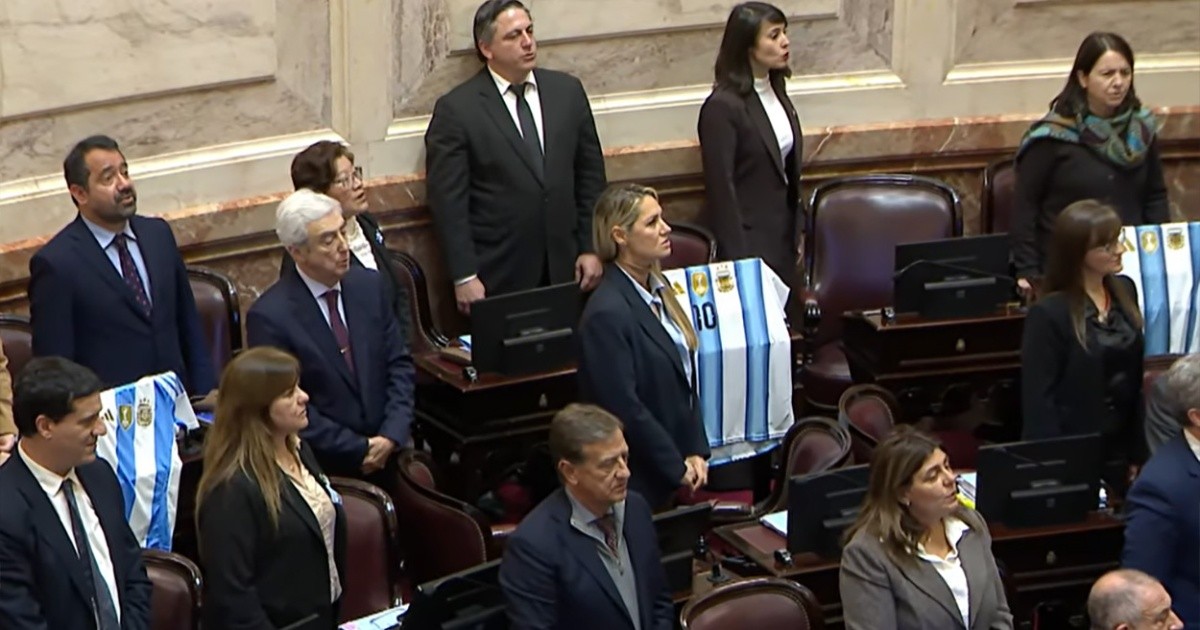 El triunfo ante Inglaterra frenó la ley de extranjerización de tierras en el Senado