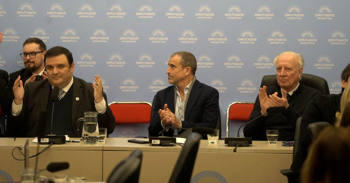 Discapacidad: aliados piden precisiones y amenazan con restar votos