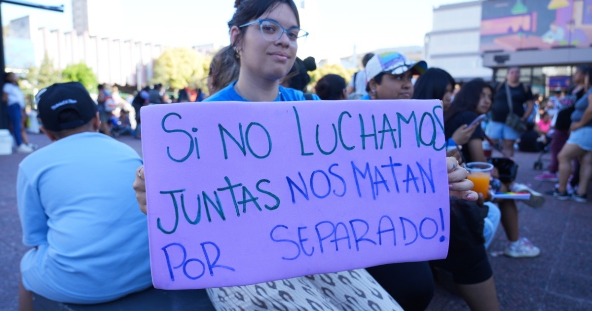 Santa Fe y Rosario: piden emergencia por violencia de género