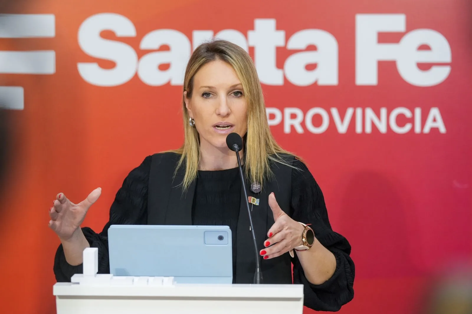 Rosario: Santa Fe convoca a policías retirados para custodiar espacios públicos