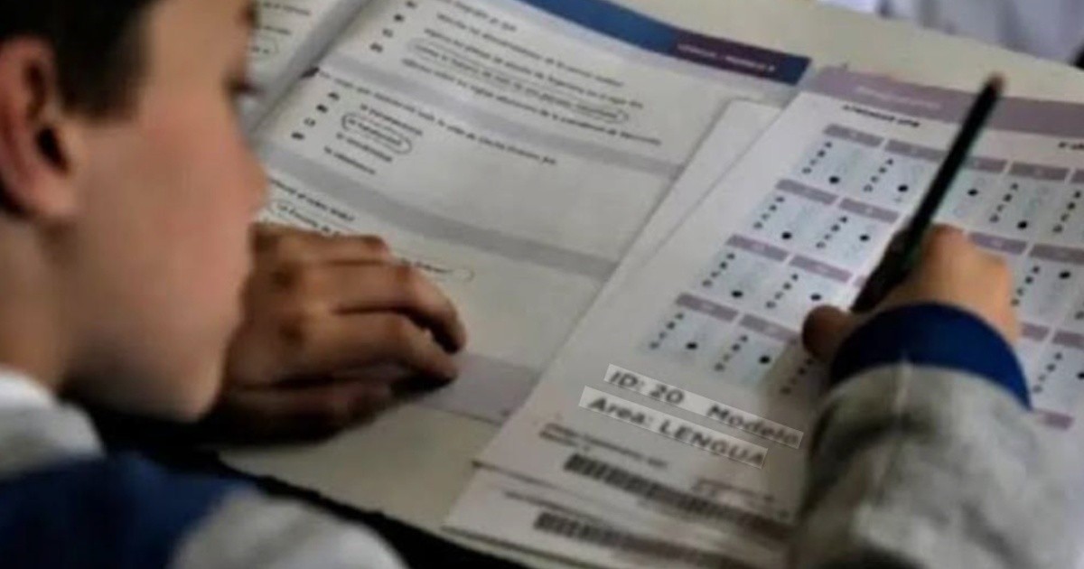 Pruebas Aprender 2025: Mendoza superó el promedio nacional en Lengua y Matemática