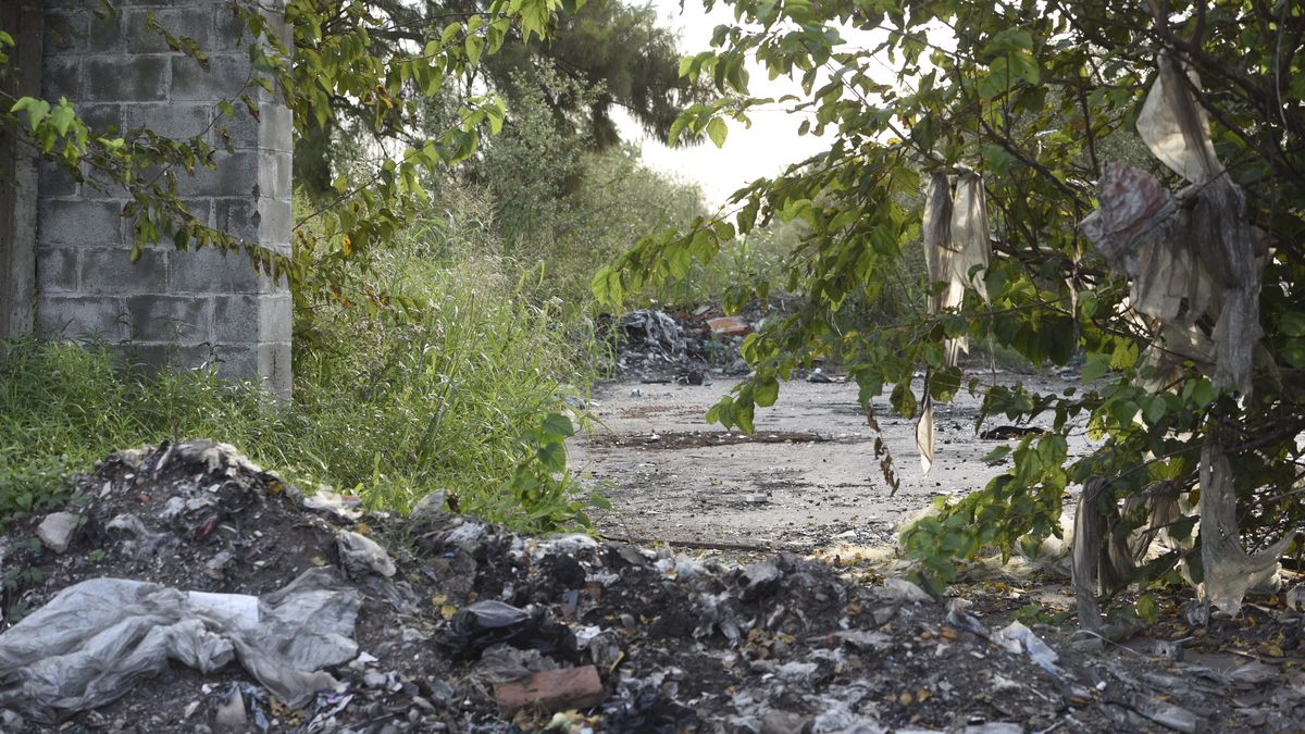 Cámaras con IA para multar a quienes tiran basura en Rosario: el proyecto que debate el Concejo