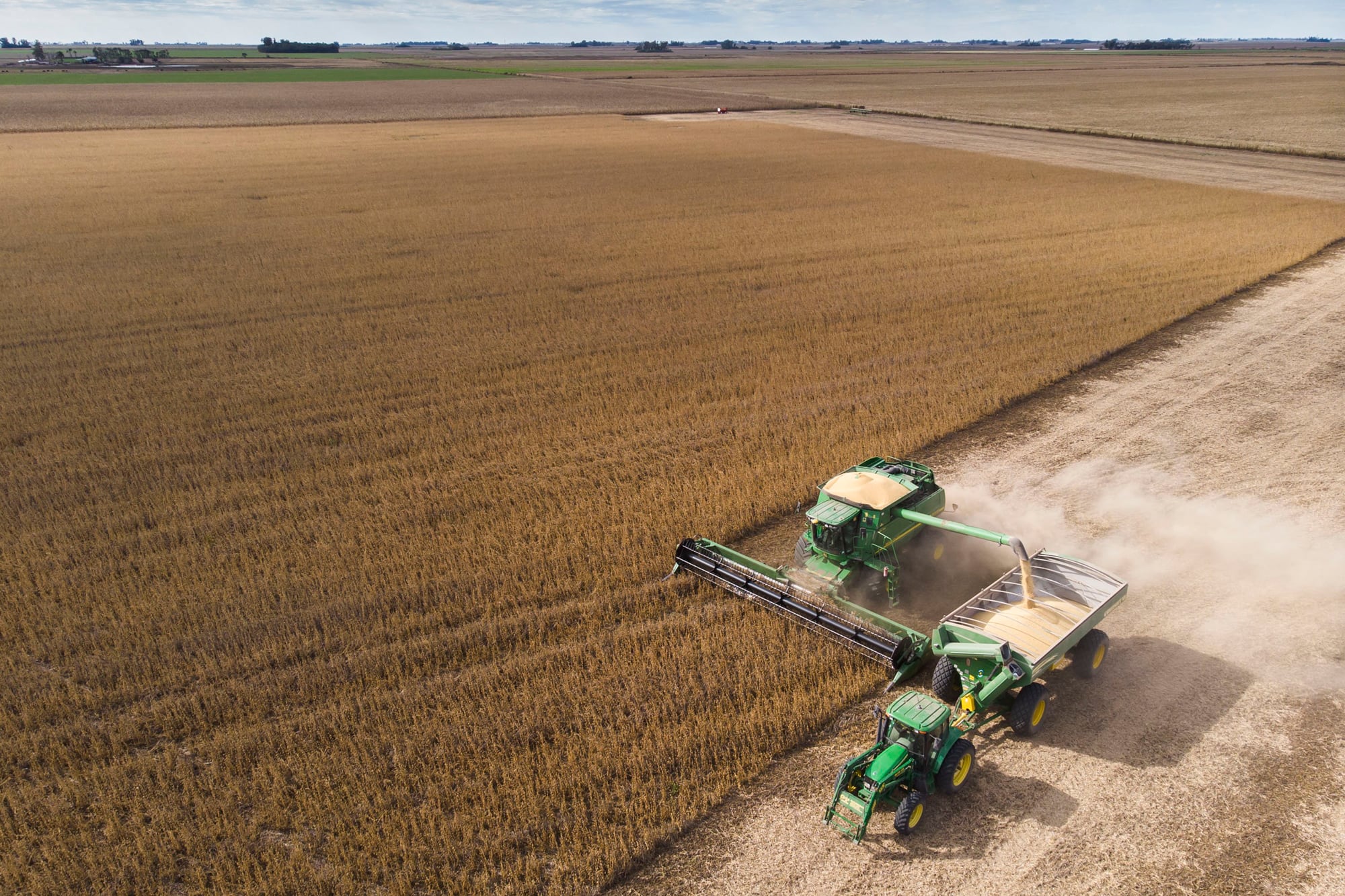 Récord histórico: la actividad agropecuaria creció 3% en junio en Rosario