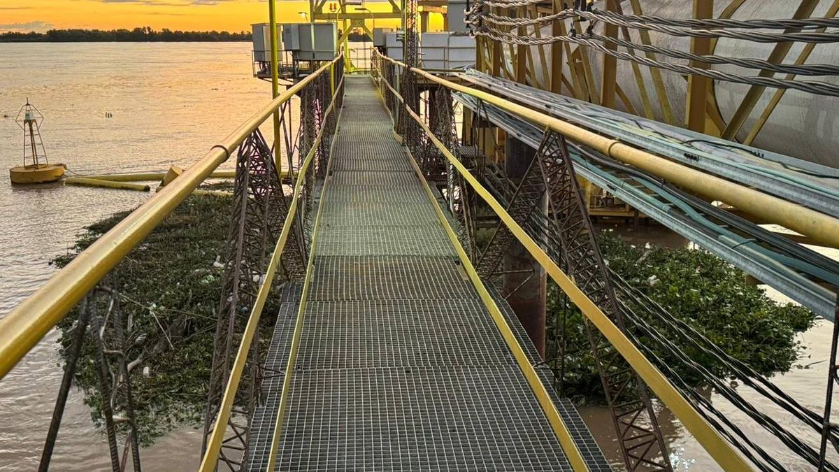 Rosario sin agua: invasión de camalotes en el Paraná provocó cortes masivos