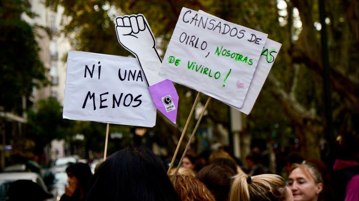 Santa Fe: proyecto para agilizar protección de víctimas de violencia de género
