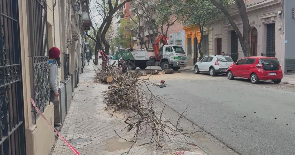 Cayó un árbol en el centro de Rosario y cortó 9 de Julio y Moreno