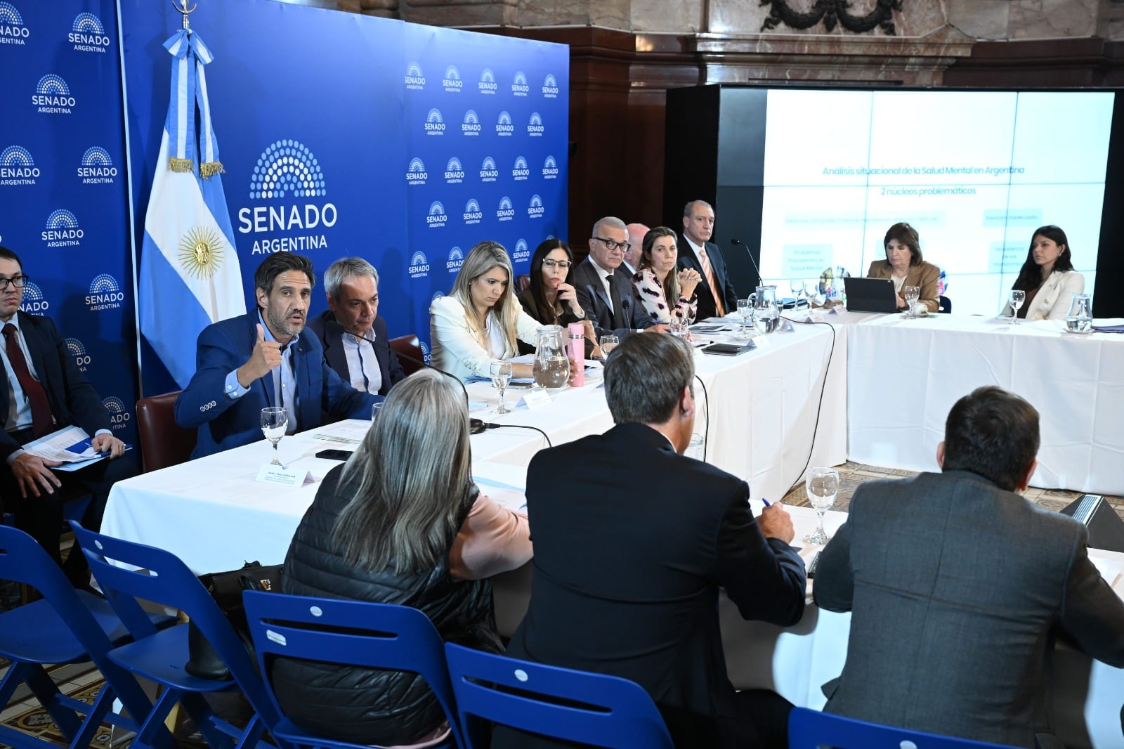 Salud mental: el Senado busca dictamen con cambios al proyecto